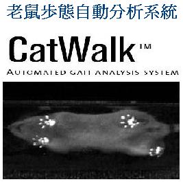 老鼠步態分析系統